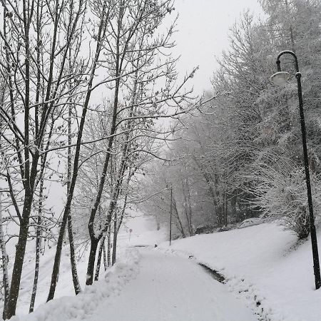 Appartamento Bellavista Cavalese Eksteriør billede